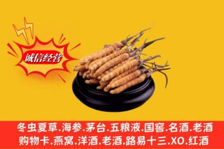 宣城求购回收虫草多少钱每克